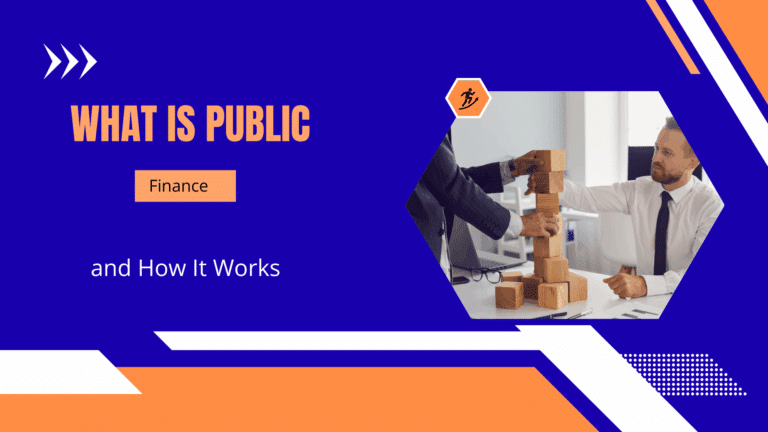 elonmurskk what is public finance
