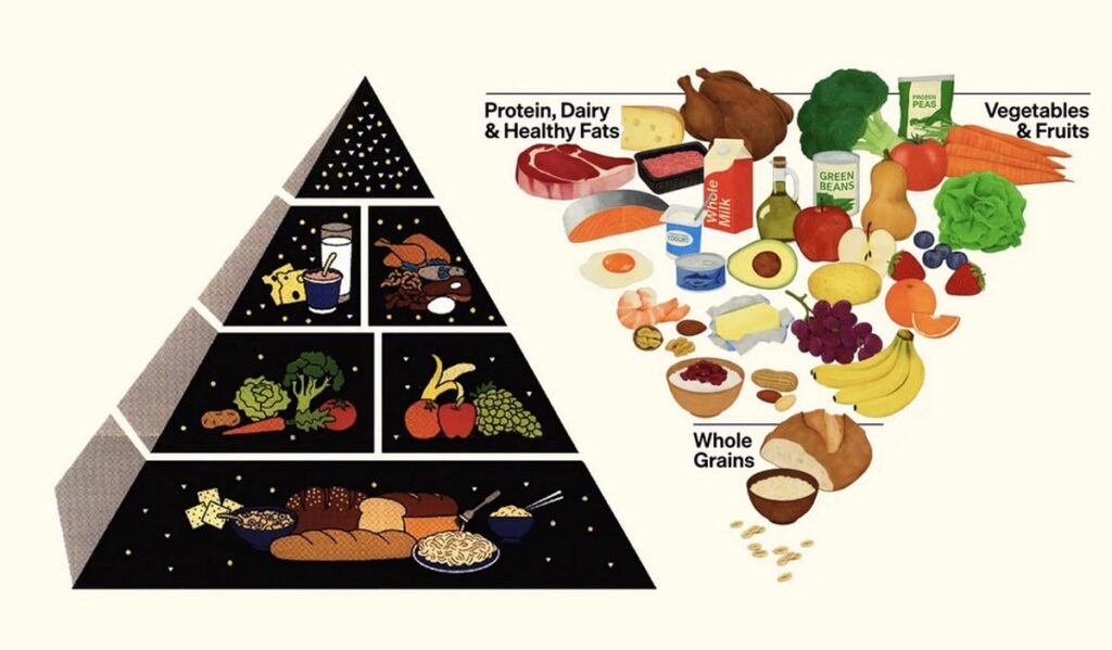 food pyramids elonmurskk