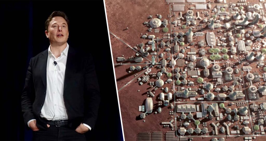 Elon Musk Predictions That Missed the Mark elonmurskkk44